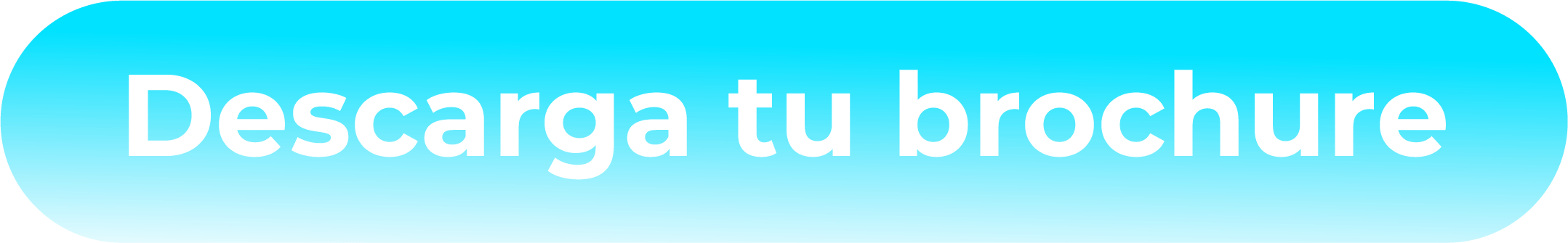 Descarga tu brochure